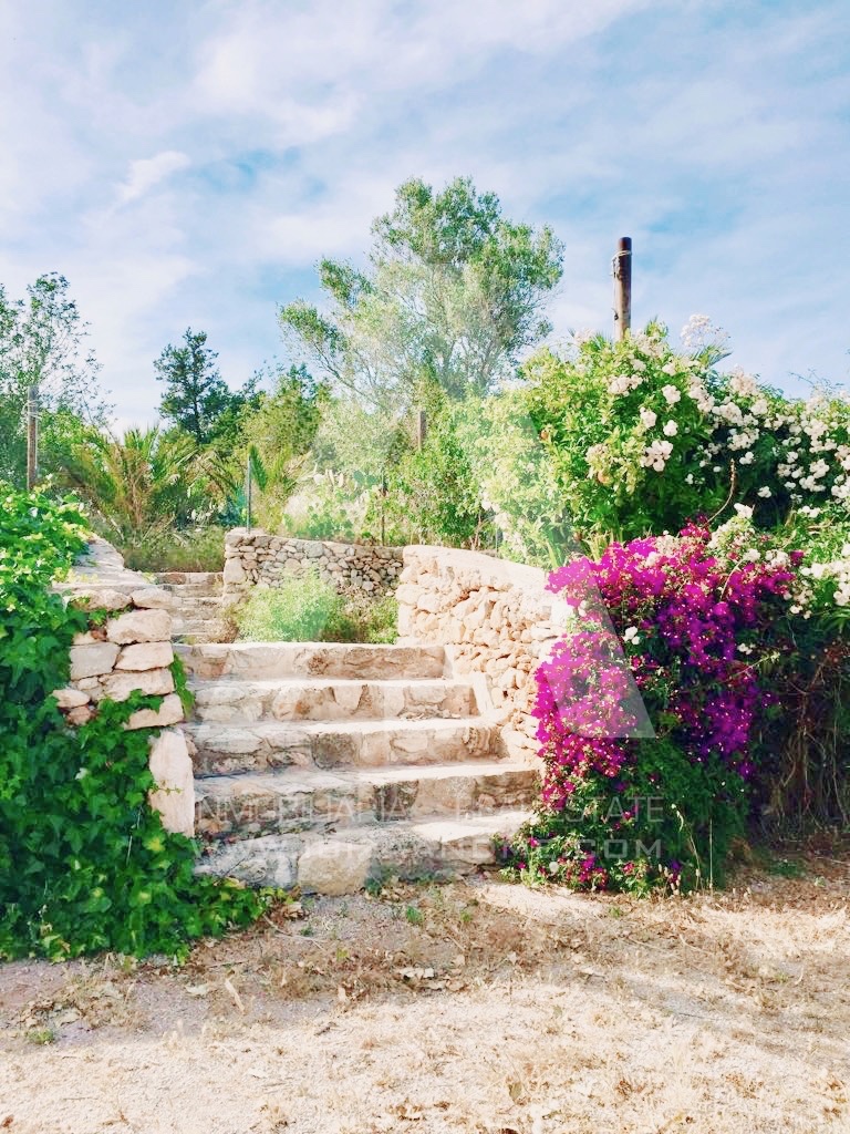 RESIZ_escalera jardin