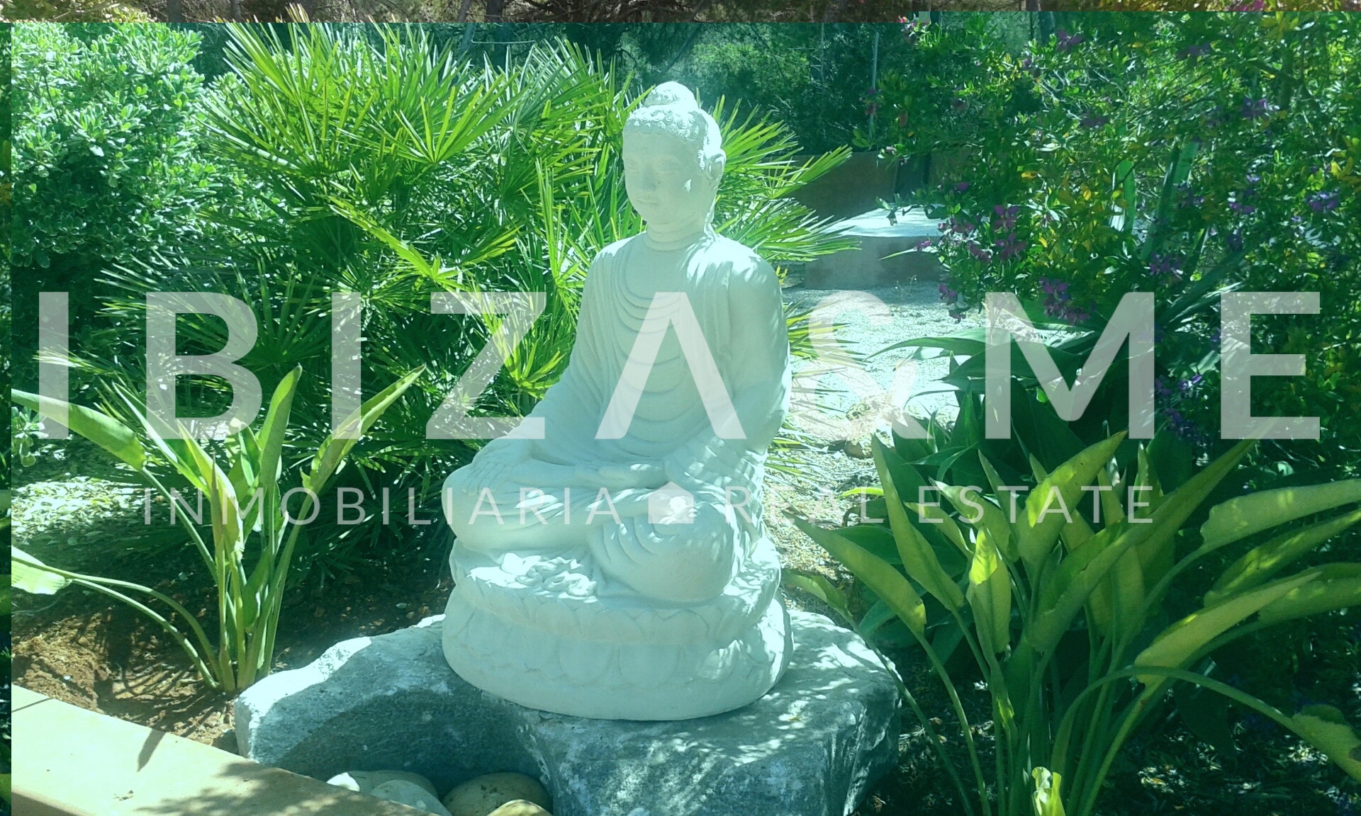 agua_20150402_141905-2_resized